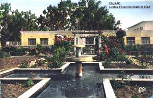 Palikao 102- Jardins experimentations CCEA- 1957